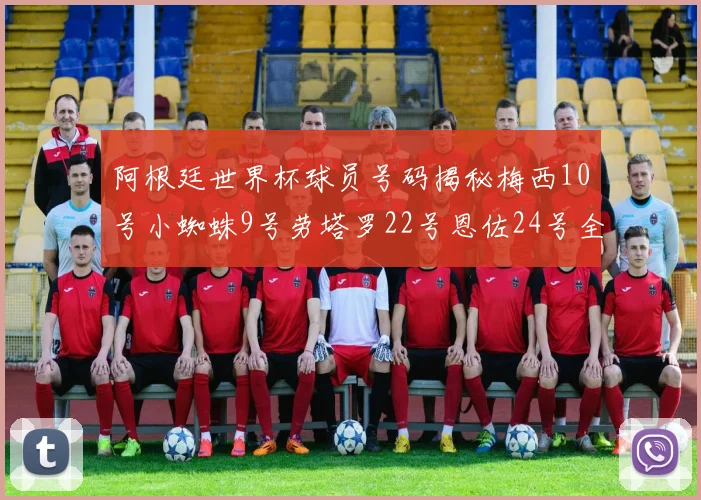 阿根廷世界杯球员号码揭秘梅西10号小蜘蛛9号劳塔罗22号恩佐24号全解析